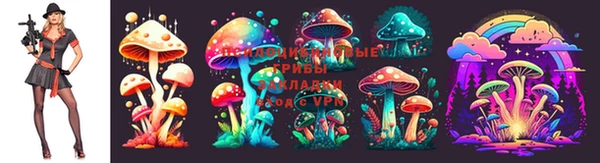 apvp Абдулино