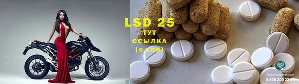бошки Абаза