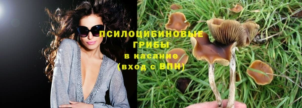 бошки Абаза
