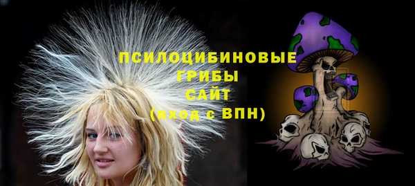 бошки Абаза