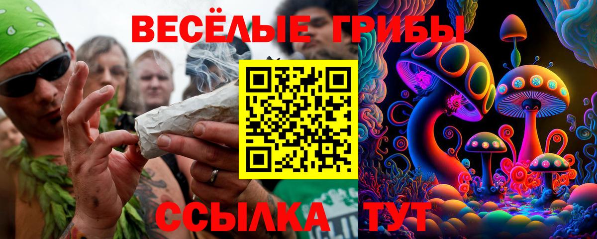 Галлюциногенные грибы мицелий  Галлюциногенные грибы мухоморы  Карасук  Вход с VPN 