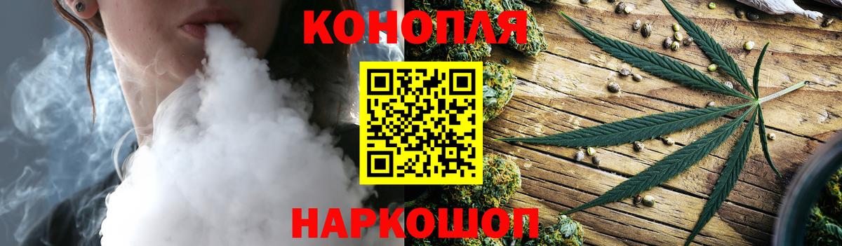 Канабис OG Kush Карасук